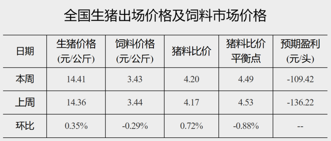 2023年最酷的女生动漫头像(优选22张)